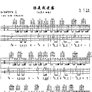 你是我老婆 吉他谱 任贤齐