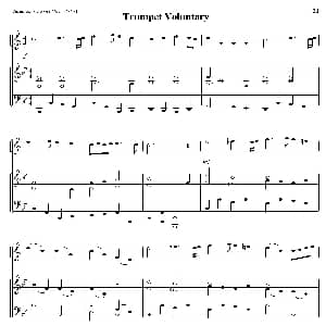 Trumpet Voluntary 小号 钢琴伴奏