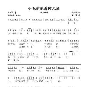 小毛驴驮着阿凡提_歌谱投稿_词曲:孙加祯 胡霄