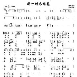 27好一树木棉花_民歌简谱_词曲:龙莆尧 朱晓宇