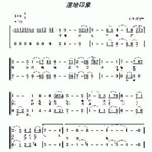 湿地印象_歌曲简谱_词曲:常连祥 常连祥
