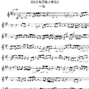 民乐视奏练习曲集 100—101