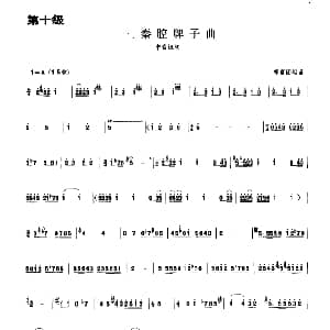 秦腔牌子曲 板胡曲集第十级