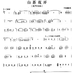 葫芦丝谱 | 山茶花开 王铁锤作曲版 王铁锤