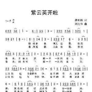 紫云英开啦_民歌简谱_词曲:唐明辉 刘北休