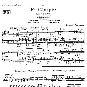 53首改编练习曲 钢琴谱 里奥鲍尔德 戈多夫斯基