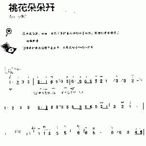 二胡谱 | 桃花朵朵开 李源源改编