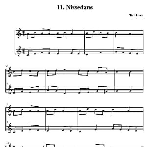 小提琴谱 | Nissedans 简易二重奏 Tom Horn 霍恩 汤姆