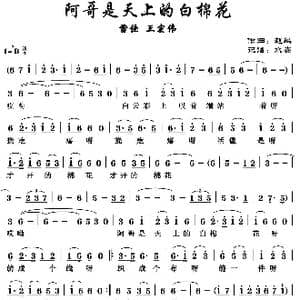 阿哥是天上的白棉花_歌谱投稿_词曲:杨一博 赵麟