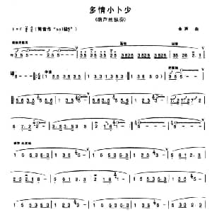 葫芦丝谱 | 多情小卜少 金声