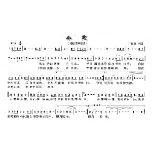 小惠_通俗唱法乐谱_词曲:丁留强 丁留强