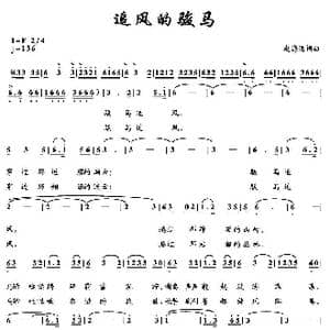 追风的骏马_歌曲简谱_词曲:赵海远 赵海远