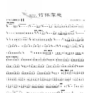 葫芦丝谱 | 葫芦丝曲精选 竹林深处 杨正玺 魏全国曲 王甲坤 王甲华编著