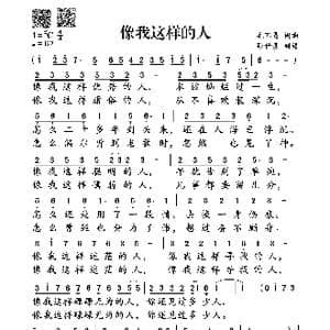 像我这样的人_歌谱投稿_词曲:毛不易 毛不易