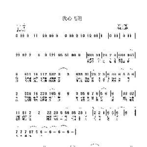 我心飞翔_歌曲简谱_词曲:白杨 白杨