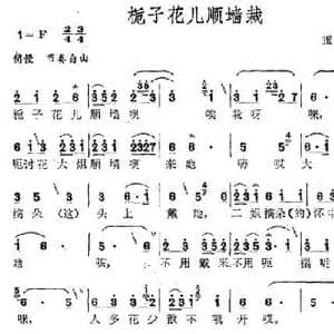 栀子花儿顺墙载_民歌简谱