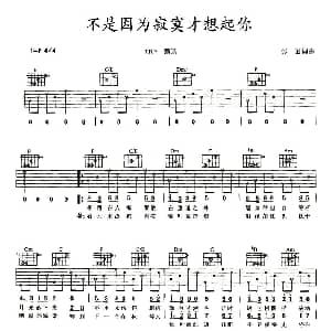 不是因为寂寞才想起你 吉他谱 T.R.Y 张超 张超