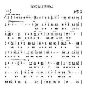 你就是我的知己_通俗唱法乐谱_词曲:幸天游 语汐
