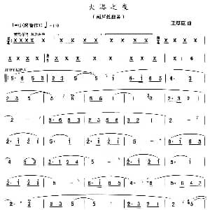 葫芦丝谱 | 火塔之夜 王厚臣