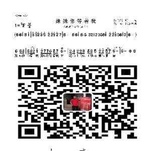 妹妹你等着我_歌曲简谱_词曲:张天赋 张天赋