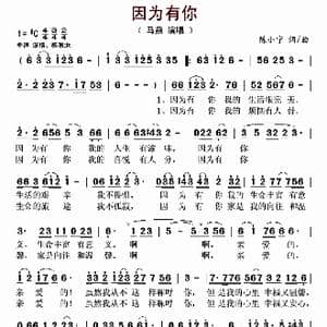 因为有你_歌曲简谱_词曲:陈小宁 陈小宁