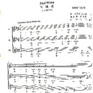 雪绒花三部合唱谱_歌谱投稿