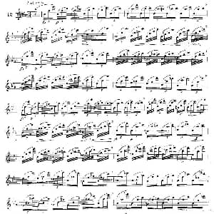 长笛曲谱 | 12首大技巧练习曲之12 Moyse 莫伊斯