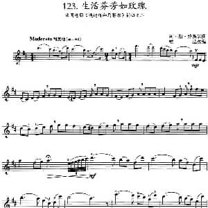 小提琴谱 | 生活芬芳和玫瑰 法国电影 埃迪特和马赛尔 插曲之二 阿 斯 路易居曲 雄达改编