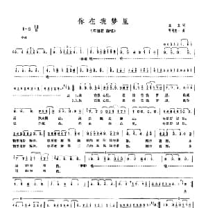 你在我梦里 _通俗唱法乐谱_词曲:庄奴 野崎真一