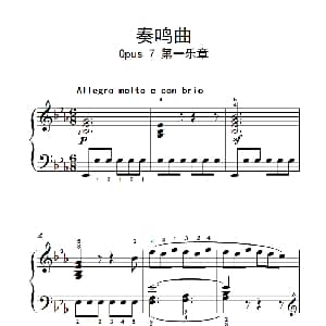 奏鸣曲 Opus 7 第一乐章 钢琴谱 贝多芬