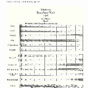 D大调第三交响曲, Op.29 第一乐章 一