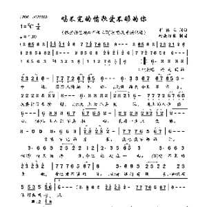 唱不完的情歌爱不够的你_歌曲简谱_词曲:崔伟立 崔伟立