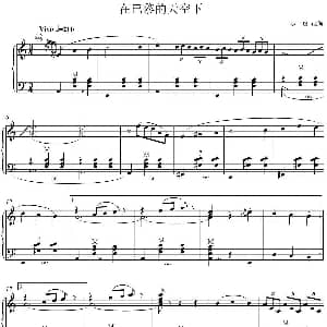 手风琴谱 | 在巴黎的天空下 廖一瑄改编版 廖一瑄改编