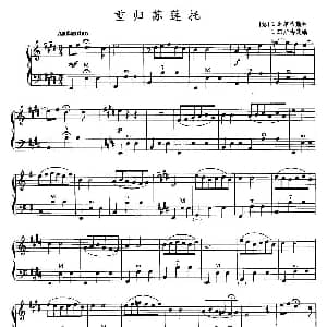 手风琴谱 | 重归苏莲托 意 E 库尔蒂斯