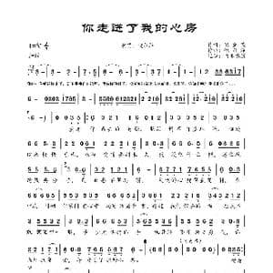 你走进了我的心房_歌曲简谱_词曲:倪金茂 倪尔萍