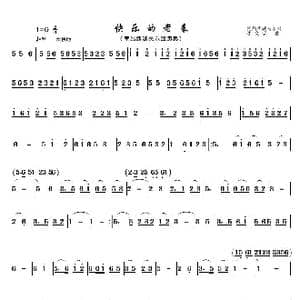 快乐的老表_歌曲简谱_词曲: 沈文镐