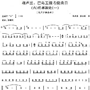 巴乌五级考级曲目 竹林深处 杨正玺 龚全国