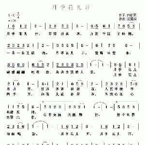 月季花儿开_通俗唱法乐谱_词曲:冉乾君 王晨润