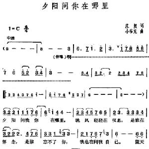 邓丽君演唱金曲 夕阳问你在哪里_通俗唱法乐谱_词曲:庄奴 小谷充