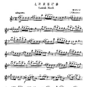 长笛曲谱 | 土耳其进行曲 贝多芬作曲版 德 贝多芬