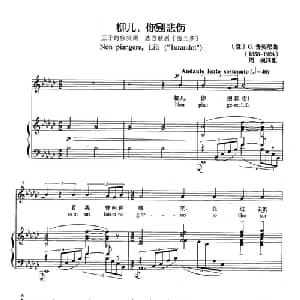 柳儿,你别悲伤 意大利 _外国歌谱_词曲: 意 G.普契尼