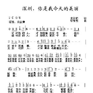 深圳,你是我今天的美丽_通俗唱法乐谱_词曲:龙伏佑 华维明