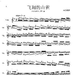 飞翔的山雀_歌谱投稿_词曲: 杨会林曲