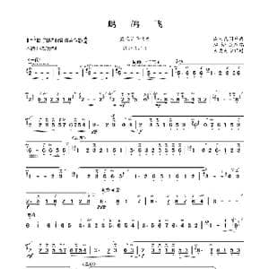 鹧鸪飞_歌曲简谱_词曲: 赵松庭改编