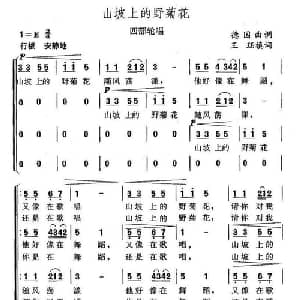 山坡上的野菊花_儿歌乐谱_词曲:王珏