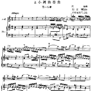 二胡谱 | a小调协奏曲 第一乐章 二胡 钢琴伴奏 巴赫曲 刘长福移植 丁红梅订弓指法