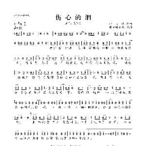 伤心的泪_歌曲简谱_词曲:心大俊 心大俊