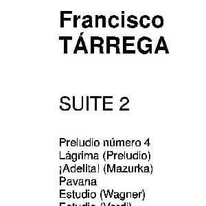 塔雷加作品全集 第2部分 吉他谱 弗朗西斯科 塔雷加