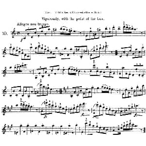 小提琴谱 | 马扎斯小提琴练习曲 Op.36 第一册 特殊练习曲 10