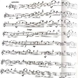 长笛曲谱 | 三十首小练习曲作品120号 NO.4 Garibold 加里波第